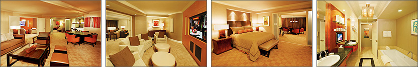 Media Suite